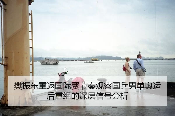樊振东重返国际赛节奏观察国乒男单奥运后重组的深层信号分析
