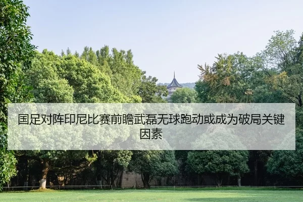 国足对阵印尼比赛前瞻武磊无球跑动或成为破局关键因素