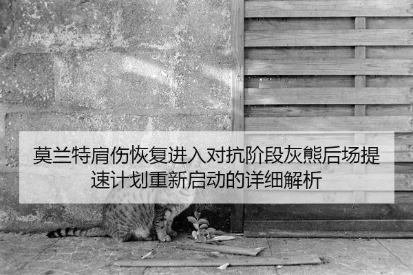 莫兰特肩伤恢复进入对抗阶段灰熊后场提速计划重新启动的详细解析