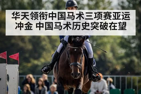 horse show jumping competition